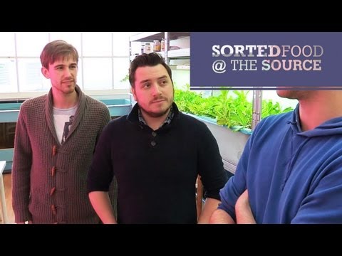 Tilapia Salad | SortedFood @ The Source