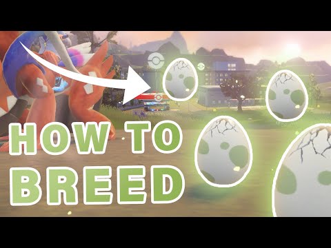 How to BREED Pokemon Eggs ► Pokemon Scarlet & Violet