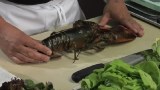 How to Make Lobster Salad : Lobster Salads