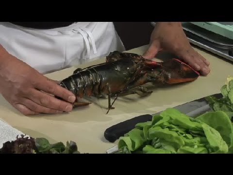 How to Make Lobster Salad : Lobster Salads