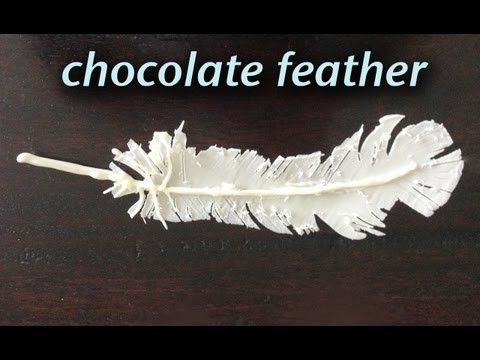 Chocolate Feather Decoration Garnish How To Cook That Ann Reardon
